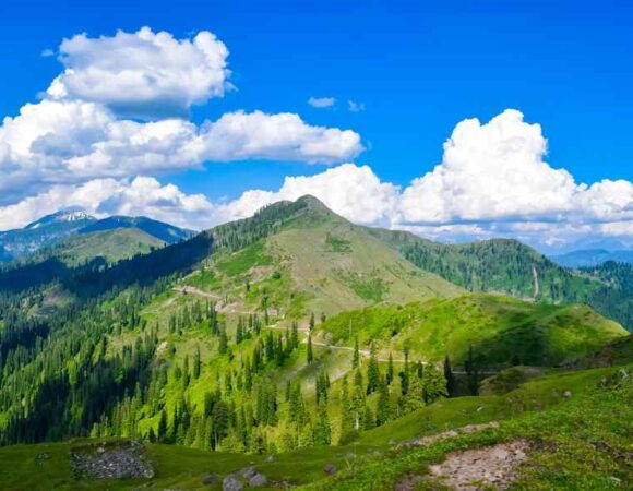 Kashmir Kaleidoscope: Nature's Beauty Unveiled